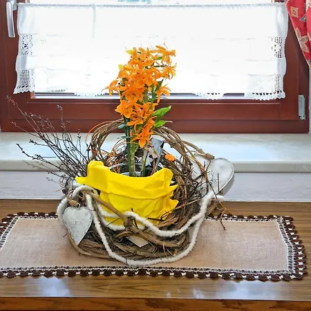 Kathi Scheiber Daire *