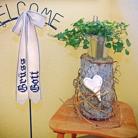 Daire Kathi Scheiber *